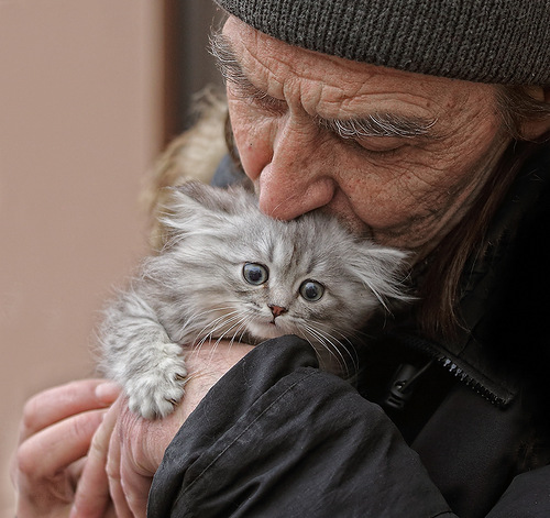 Дню МВД-19 Мы с тобой бездомные, котёнок!