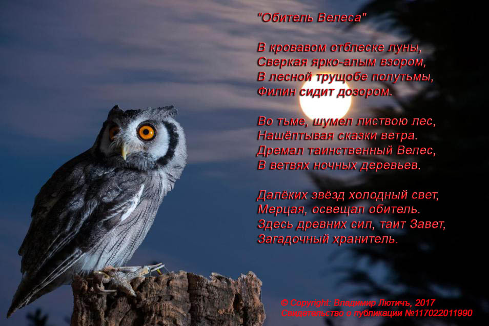 Лабиринты Велеса Фант. Рассказ