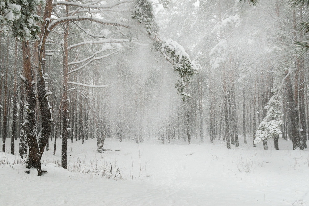 Наш город окутан туманом...