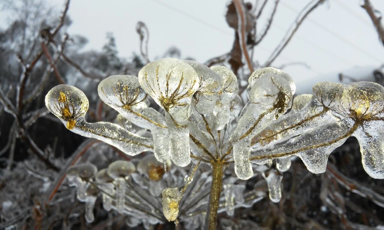 Красивая аномалия!