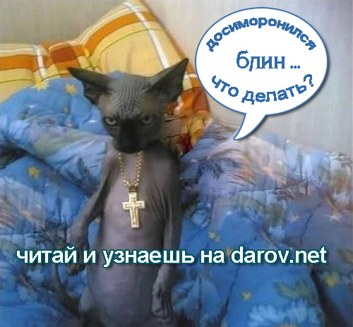 Симороны - мошенники в духе