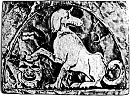 Бродячая собака