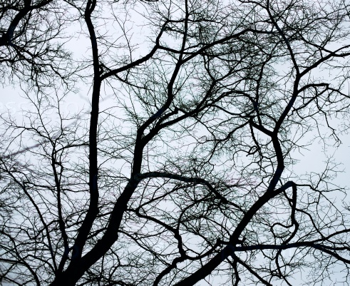 Лицо смерти