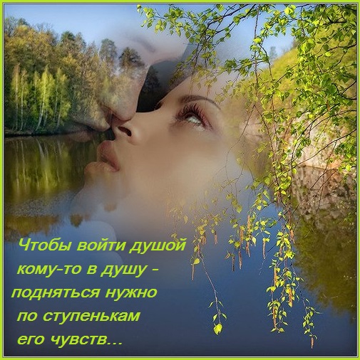 В несколько чувственных строчек 11