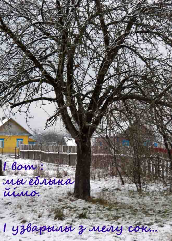 Ув нас сизон спокойств!