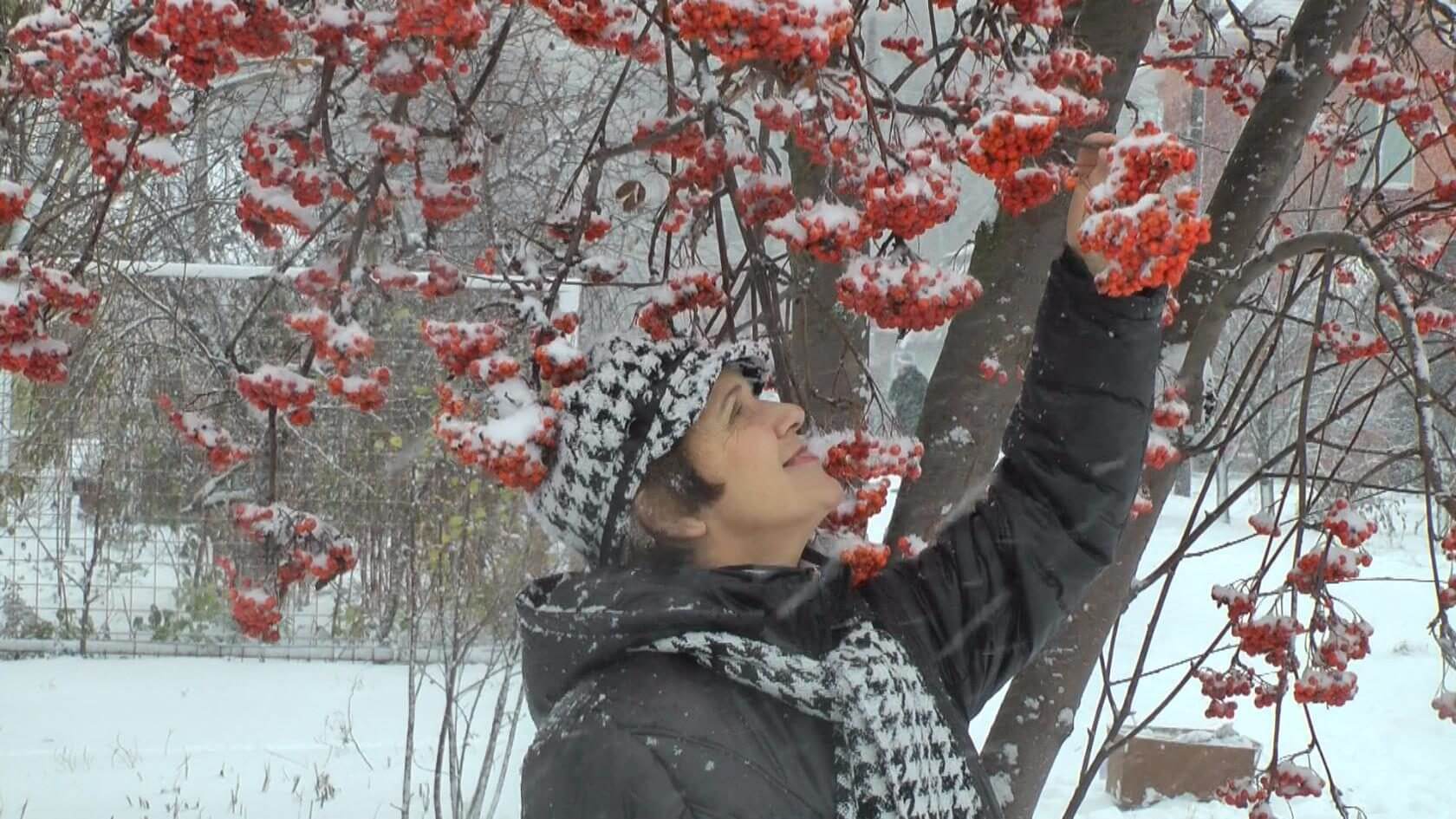 Рябиновая сказка