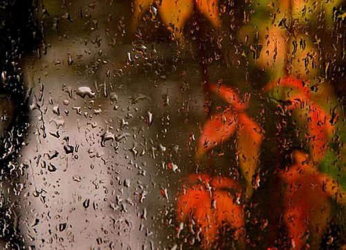 Метеорологическое...