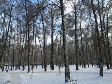 Тишина подмосковных городов