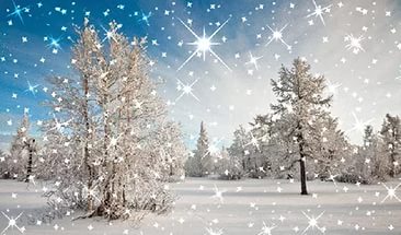 Цвет совершенства