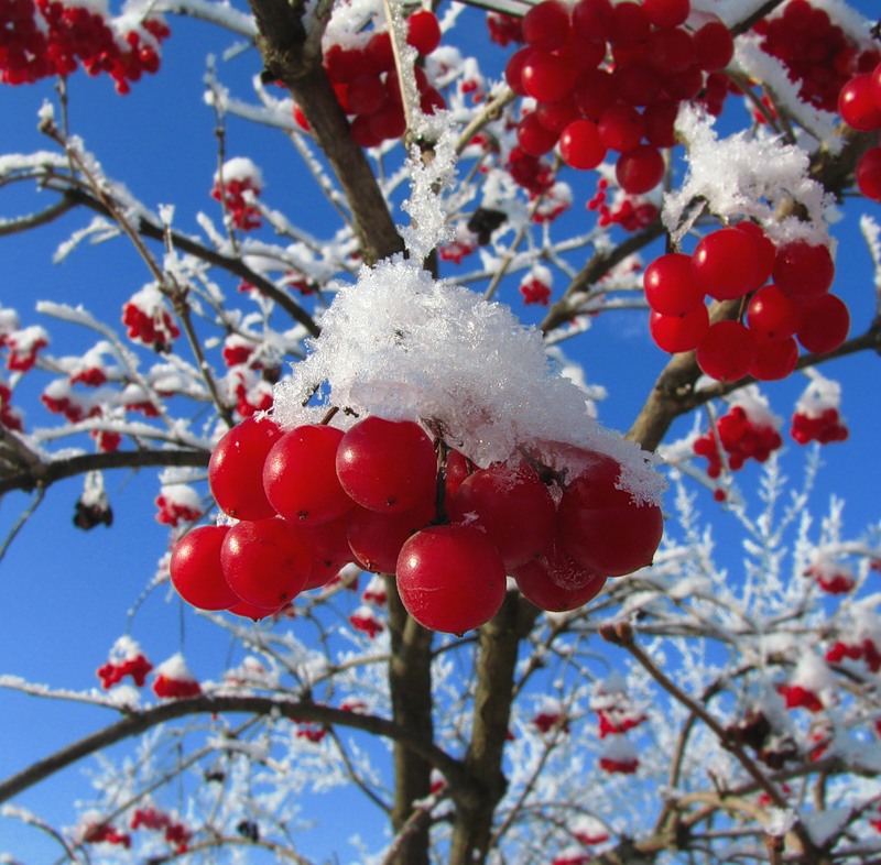 Сказки ноября