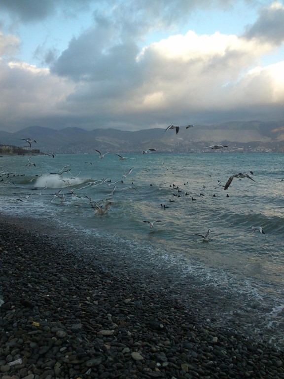 В открытое море