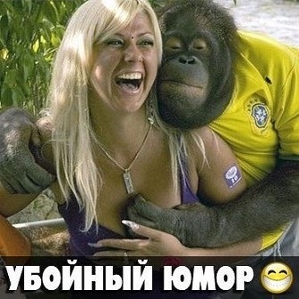 Обезьяни разборки