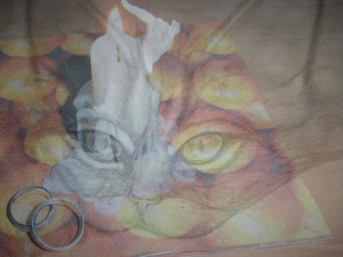 Печален кот