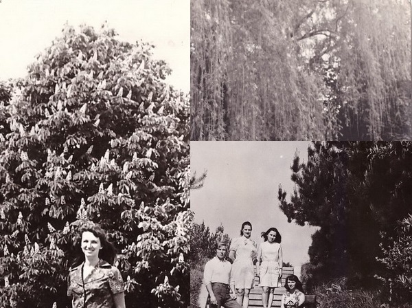 Щедра на сюрпризы земля