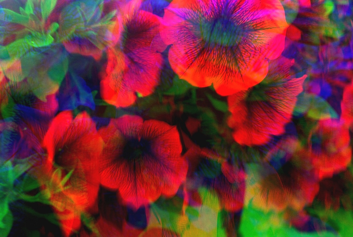 Ты воскреснешь между строк своих произведений!