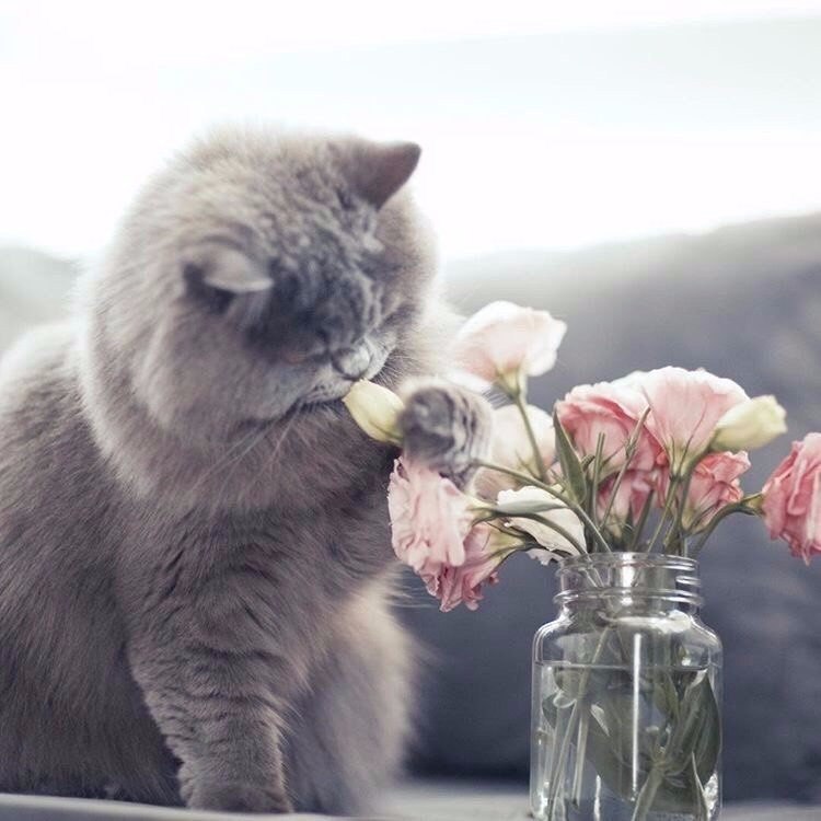 Я не хочу писать стихи