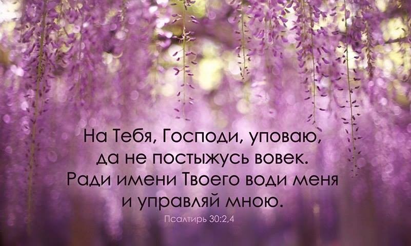 ИОНА