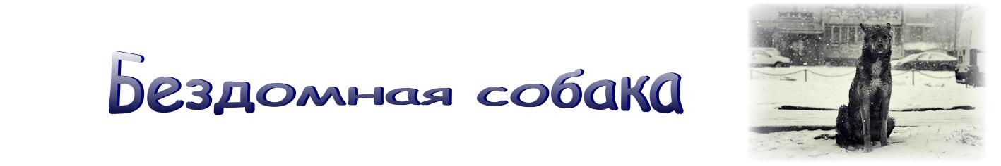 Бездомная собака