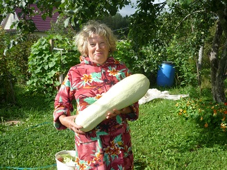 Мой любимый кабачок