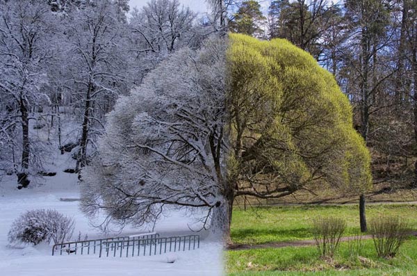 Среди зимы пахнёт вдруг летом...