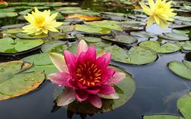 Воспоминание душу греет