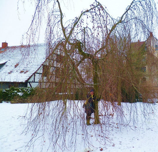 Lebenskraft oder ist das Schwaeche