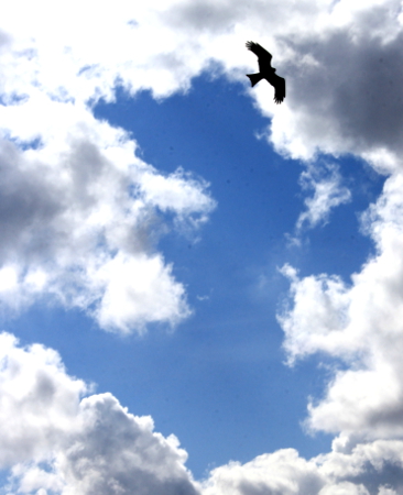 Достижения