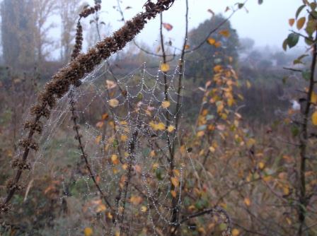 Уж поздней осени недуг