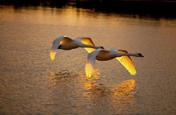 Запомните мгновения