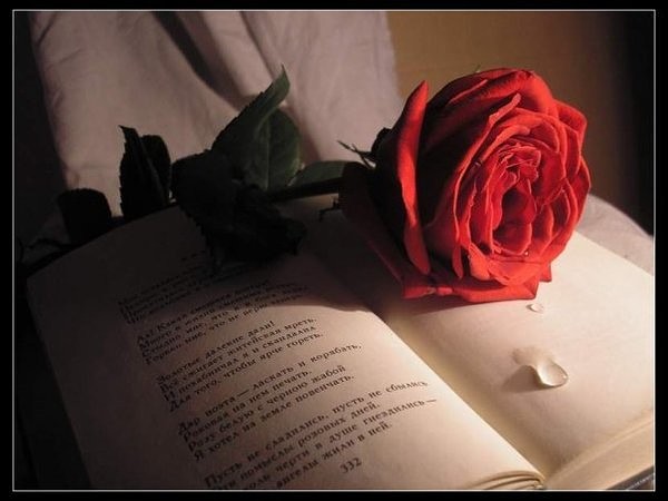 Цветущие шаги души