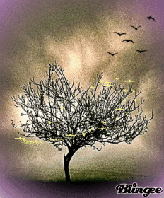 Сказка-быль