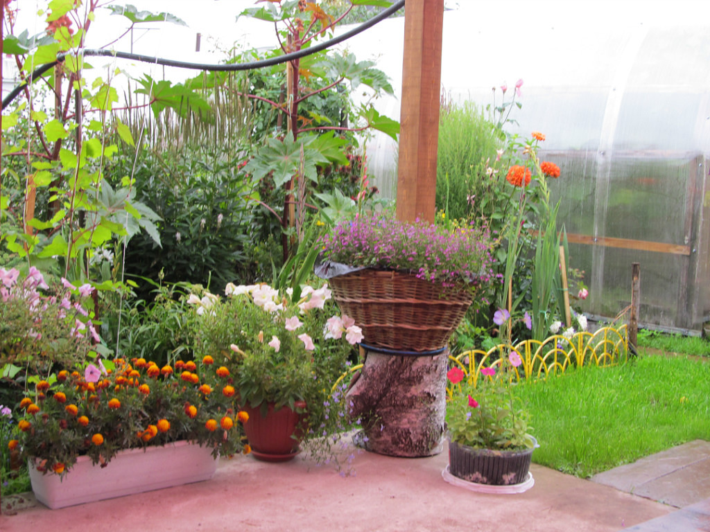 Дачная ночь