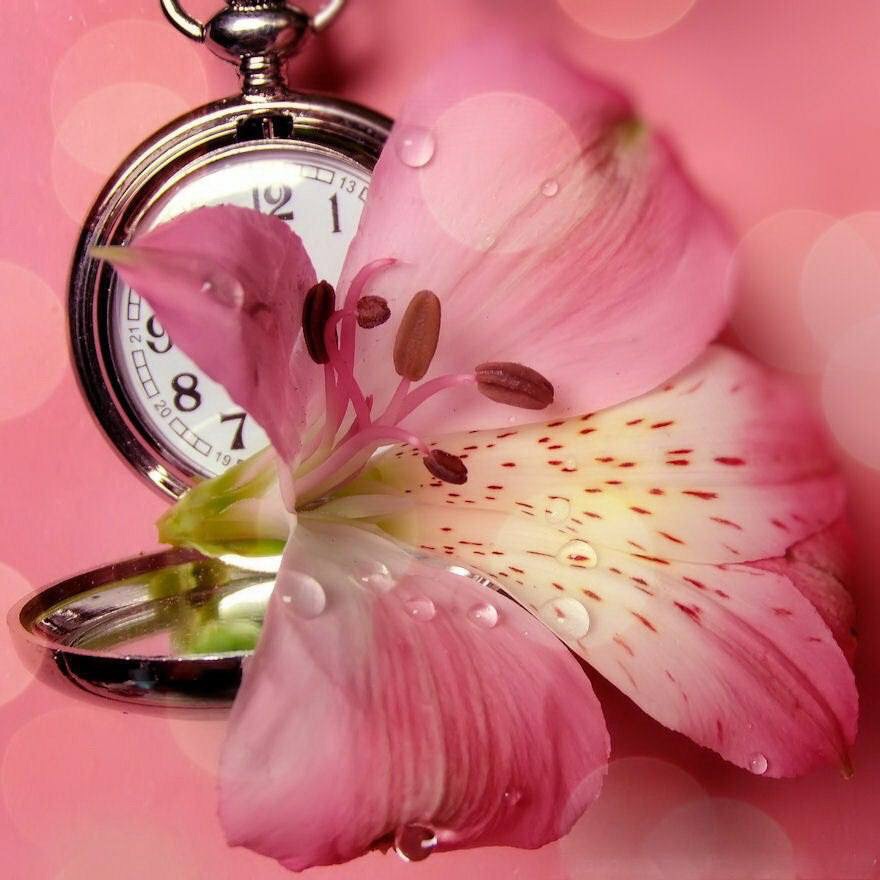 Опавший день!