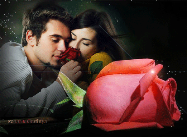 Букет роз и Чувства