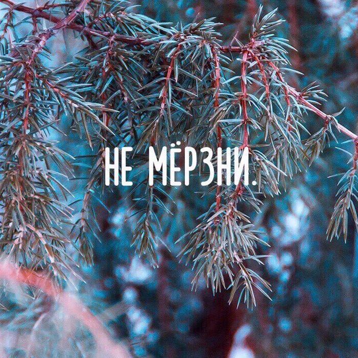 Не мерзни картинки