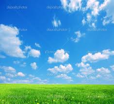 К далёким берегам