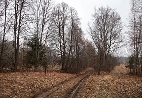 Поздняя осень