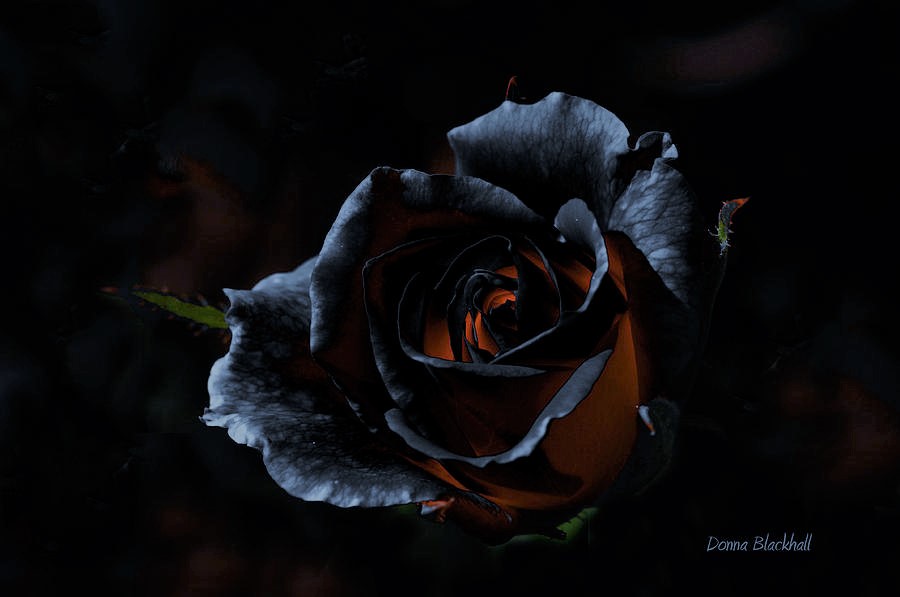 Не прощаюсь...