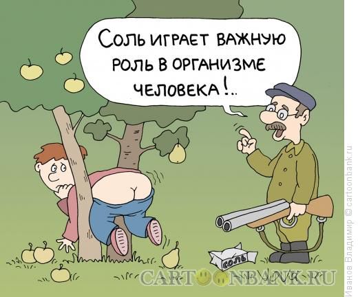 Страшнее соли средства нет!