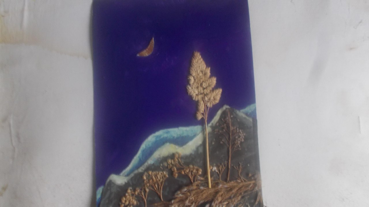 Одинокая сосна