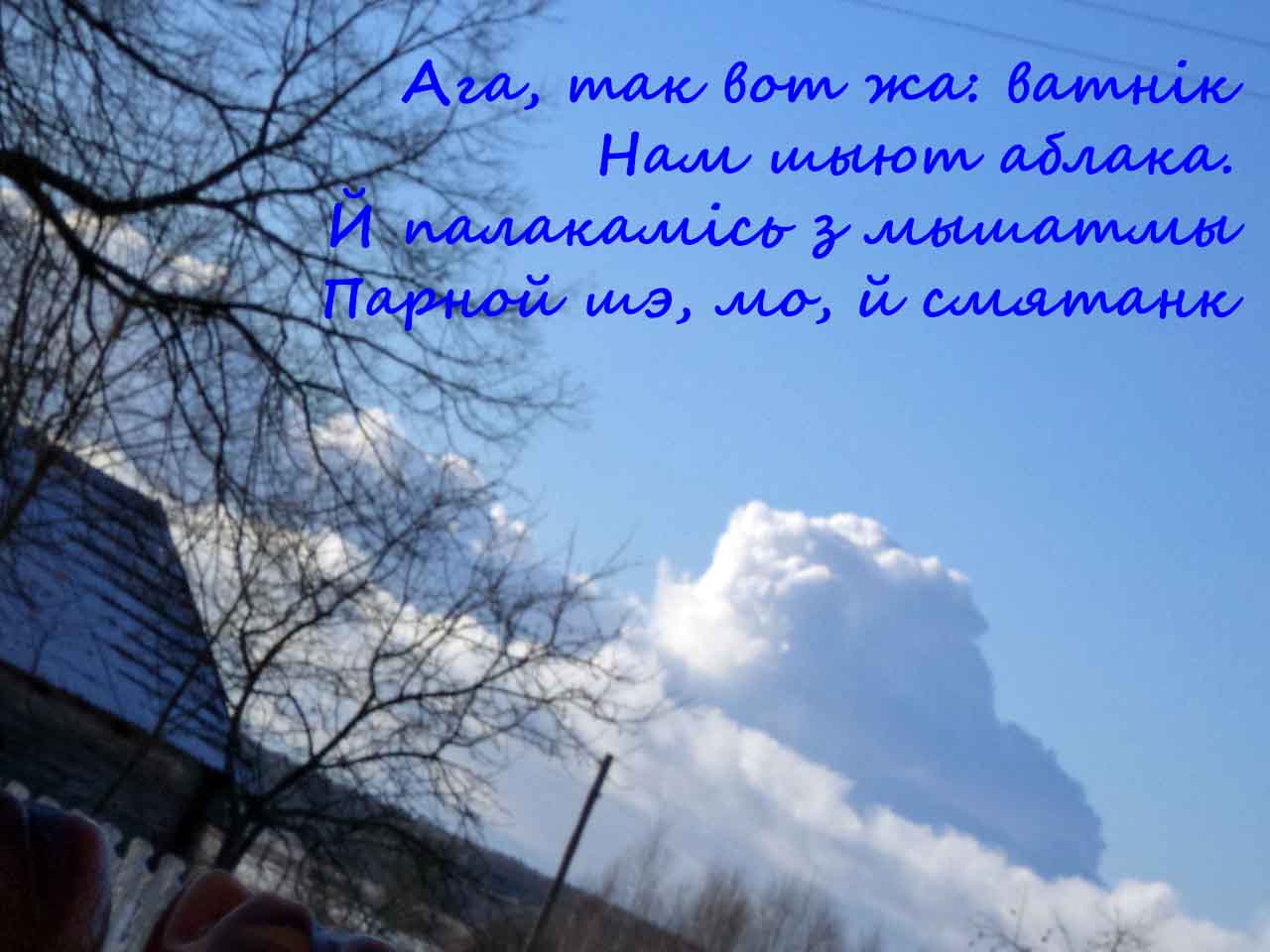 Мартышкины татар!