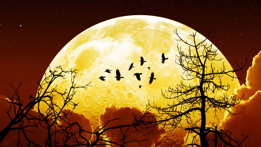 Поэтический гротеск (Олег Зинч) / Стихи.ру