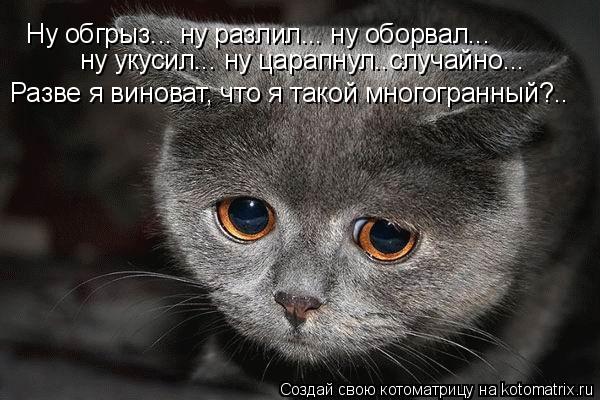 Кто виноват???