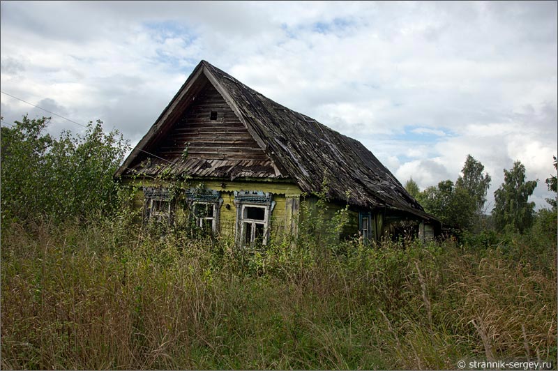 Зарастает тёмным лесом