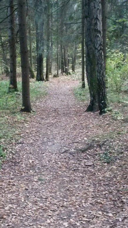 Здесь прежде с сыном мы ходили