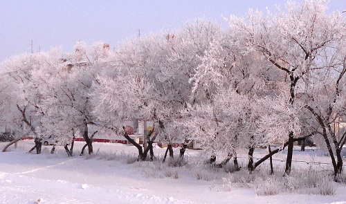 И наконец- зима!