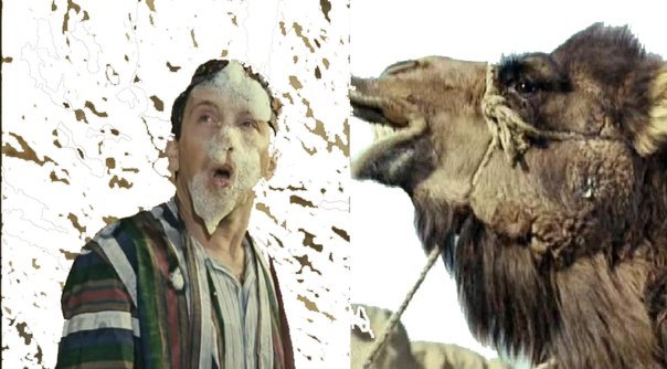 Хорошая мысль!