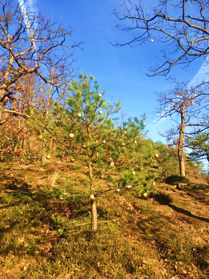 Uebung zur Vergebung