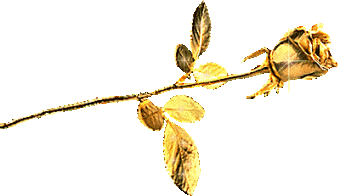 Поэт и Стихи, или Там, где двое... in short