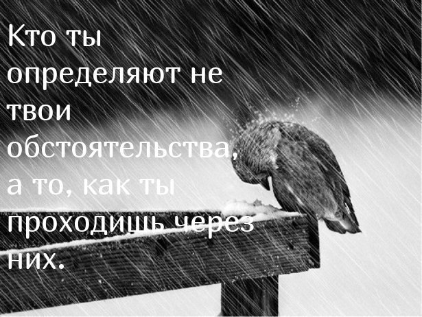 У кожного своя стежина...